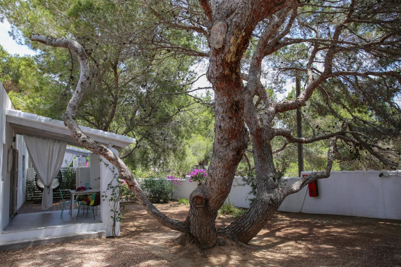 La Hacienda Lejlighedshotel San Ferrán de ses Roques Eksteriør billede